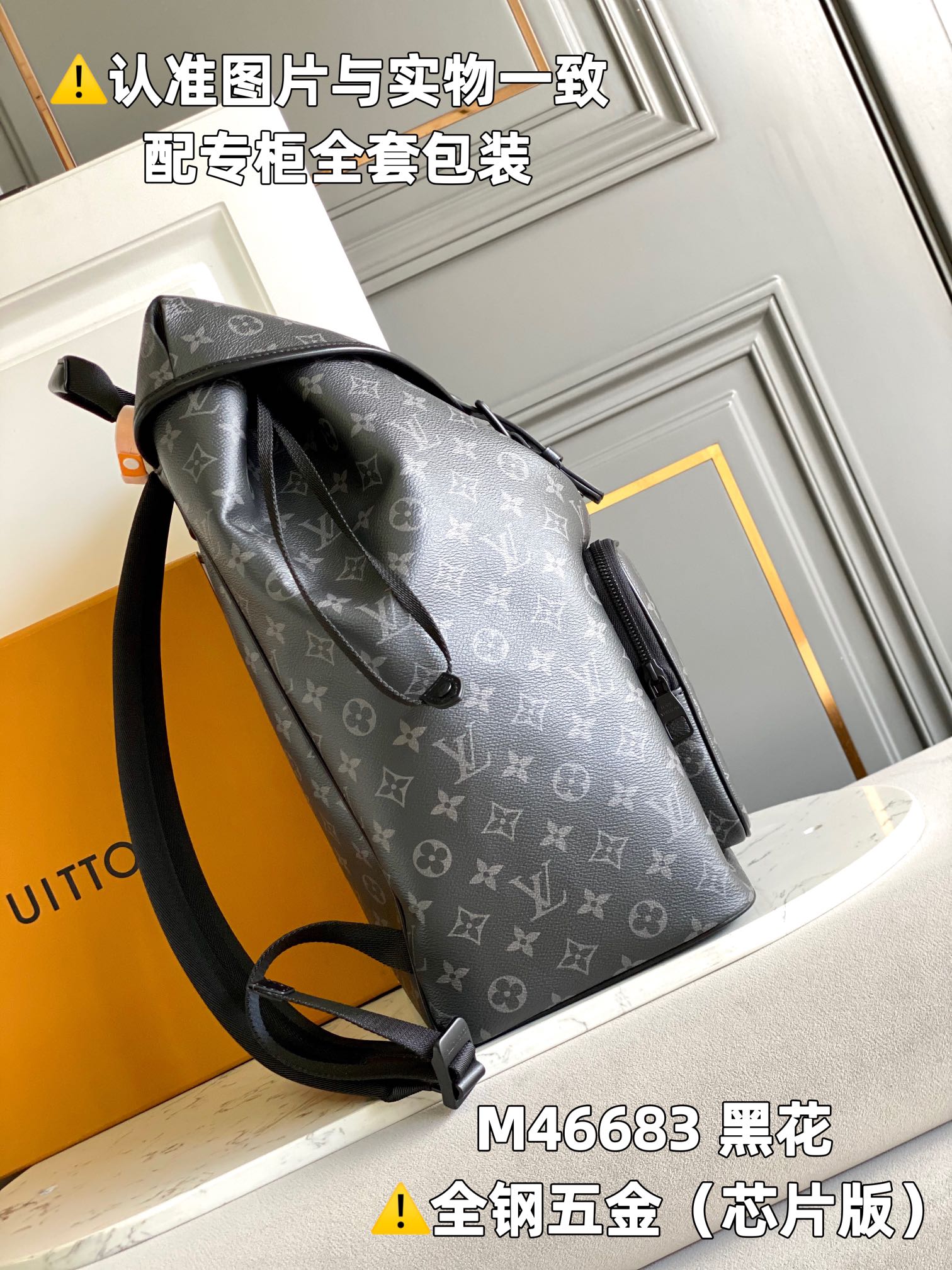 Louis Vuitton Backpacks